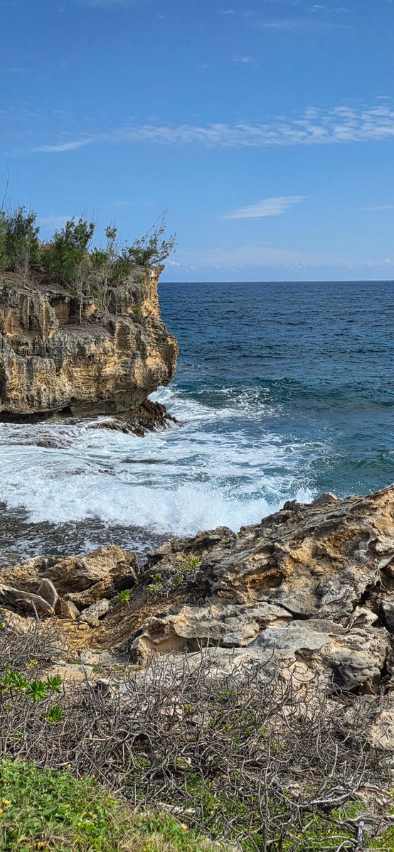 Poe Aloha tweet media