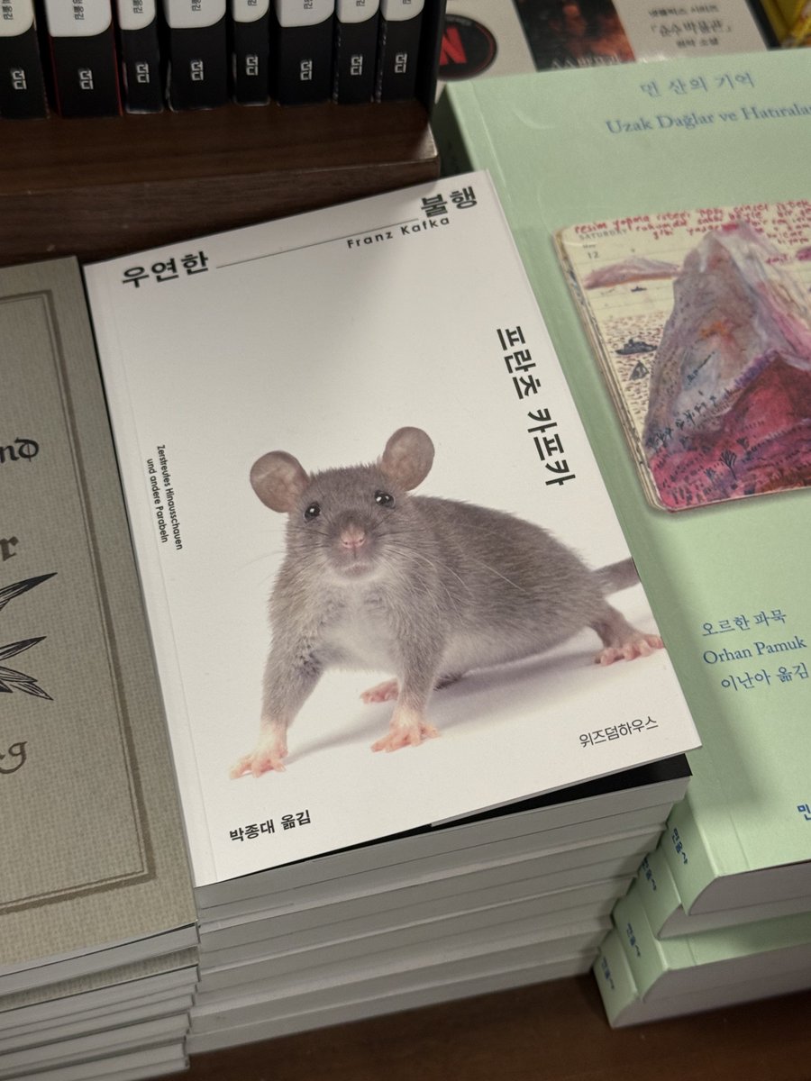 서점에서
오, 쥐.
하는 시간을 가졌어요