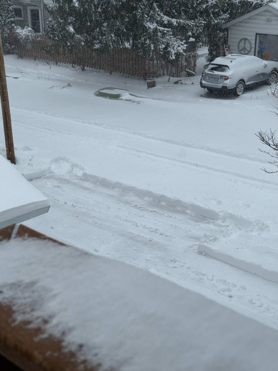 Kelli Kay 💚💛🏈 🇺🇸🇺🇦 tweet media