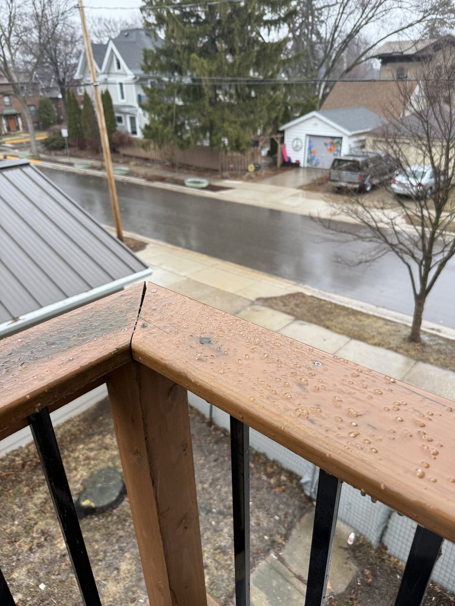 Kelli Kay 💚💛🏈 🇺🇸🇺🇦 tweet media