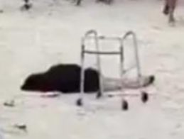 🅱️ete oaks tweet media