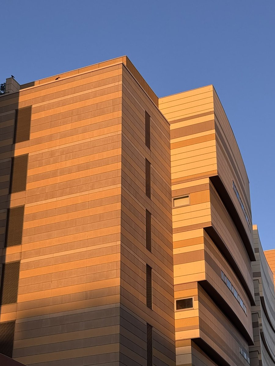 Truthful🛰️ tweet media