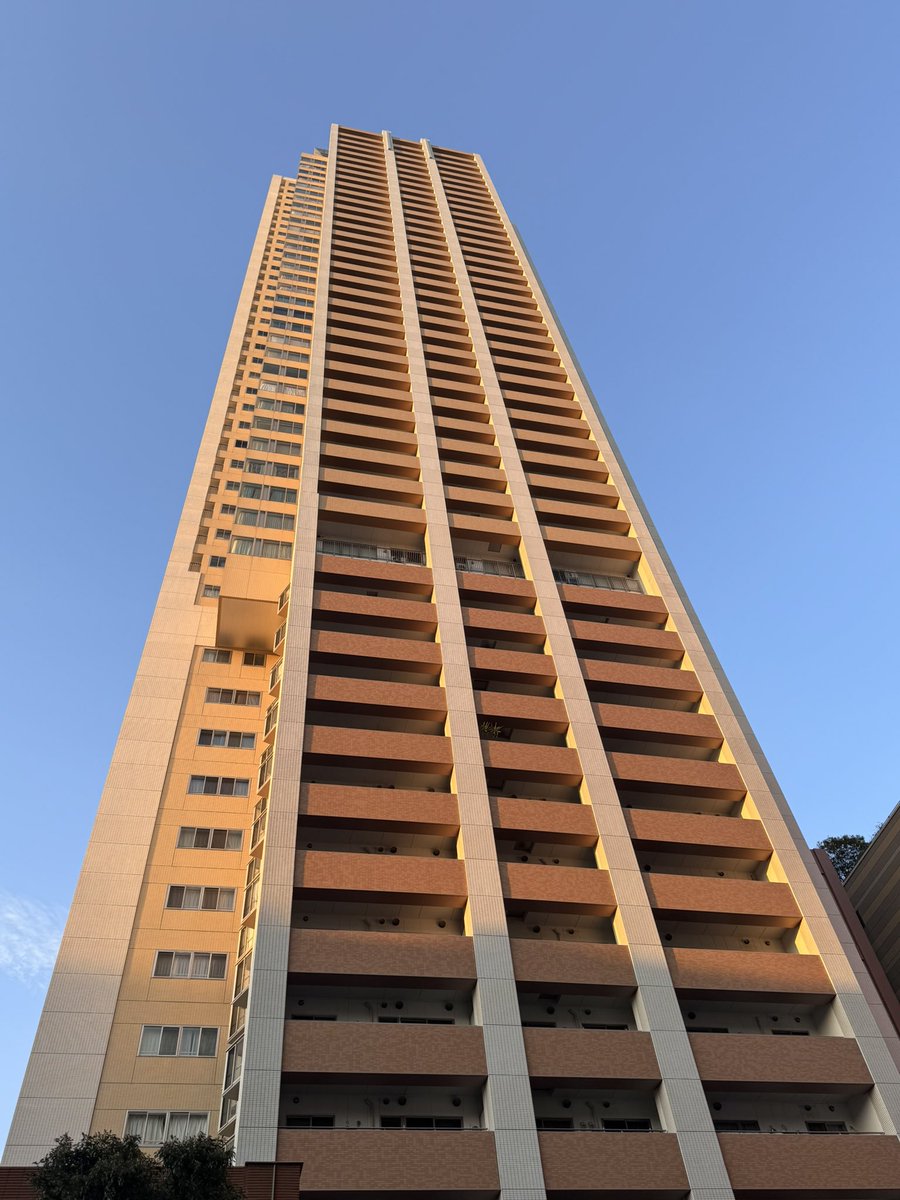 Truthful🛰️ tweet media