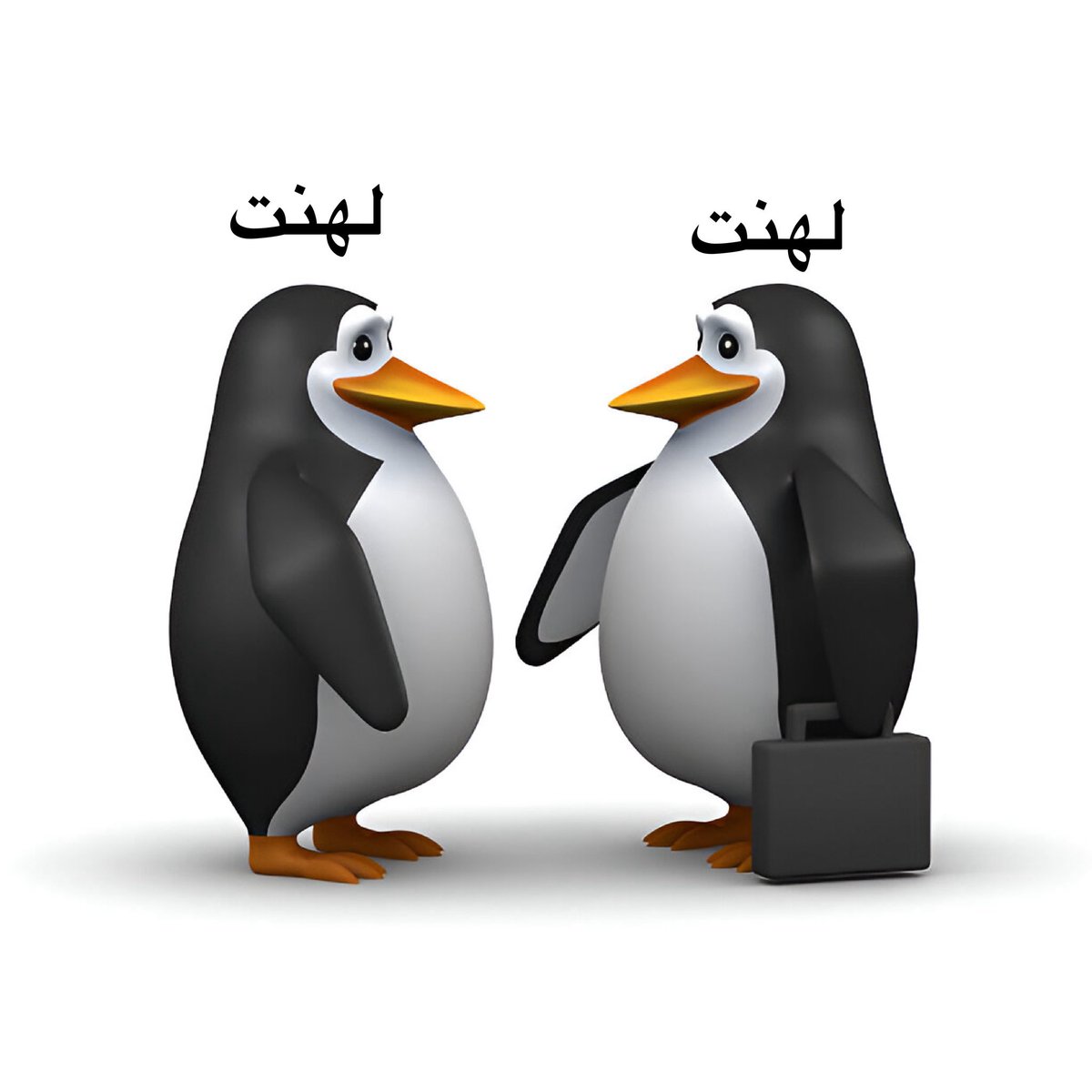 المعتصم بالله 🖤|| Mutasim tweet media