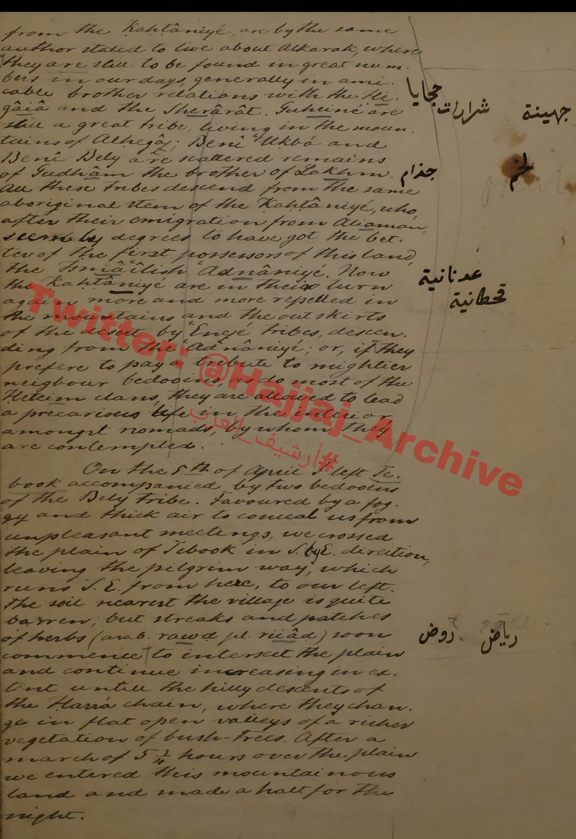 أرشيف العرب tweet media