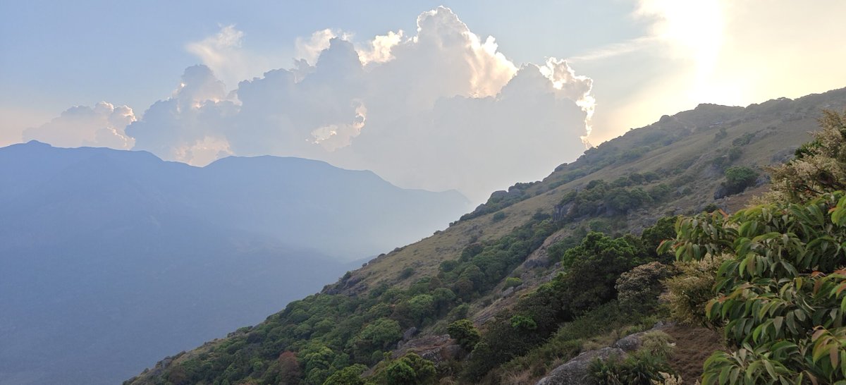 Saiyasodharan tweet media