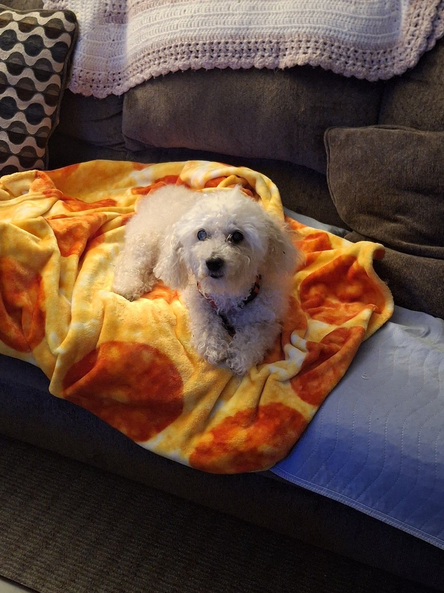 YFP Zachh tweet media