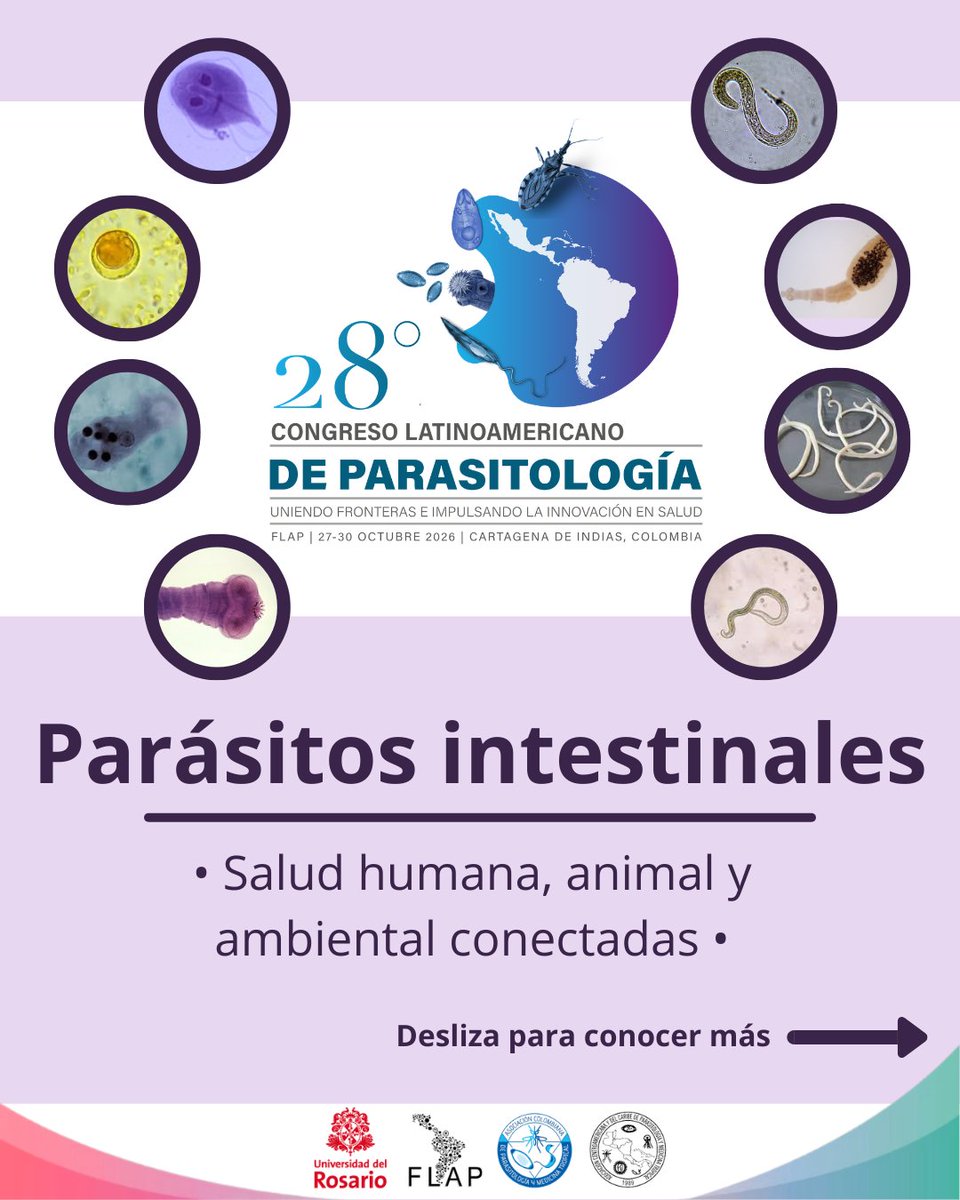 FLAP2026 tweet media