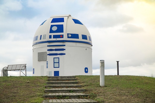 Tara Davidson tweet media