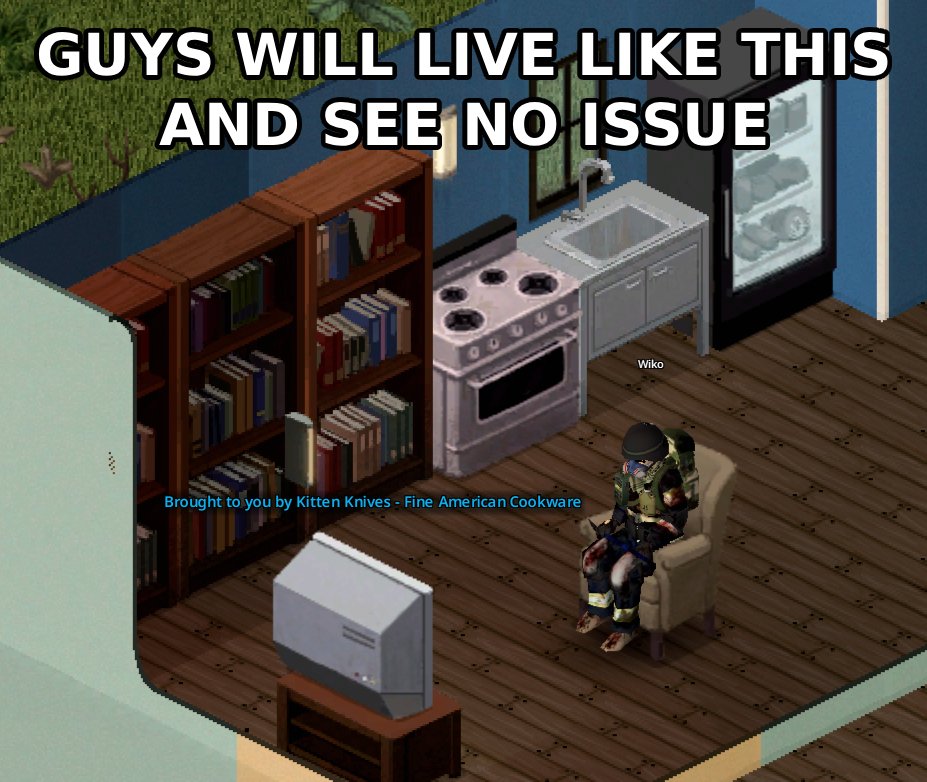 r/ProjectZomboid tweet media