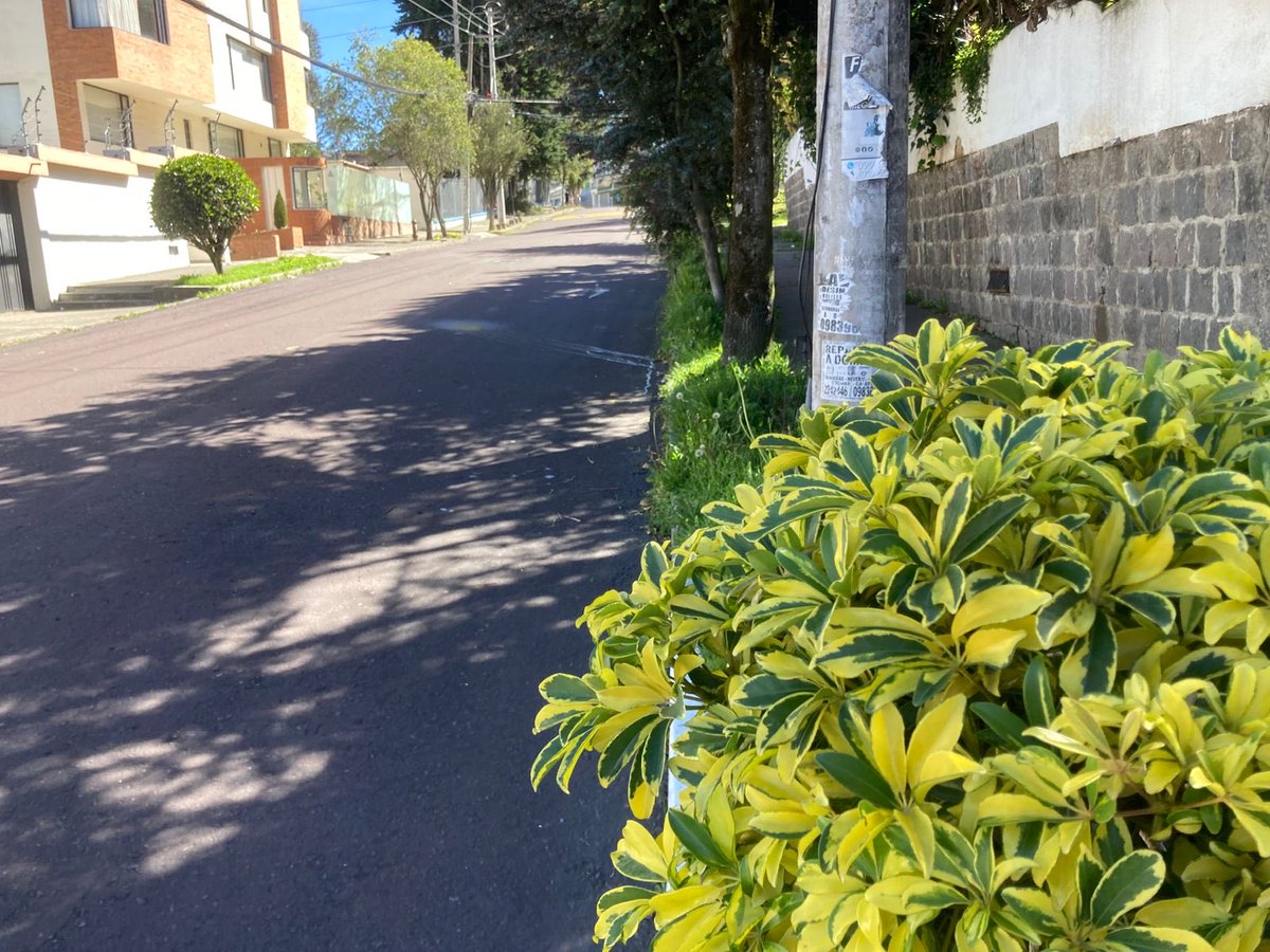 BatanAltoBarrio's tweet photo. @amcquito Por favor, señores, es necesario que sancionen a este conductor de taxi que paró en plena vía en la calle ArosemenaTola y y Guanguiltagua se orinó delante de vecinos que estábamos transitando y siguió su camino https://t.co/RI1boEGMkd