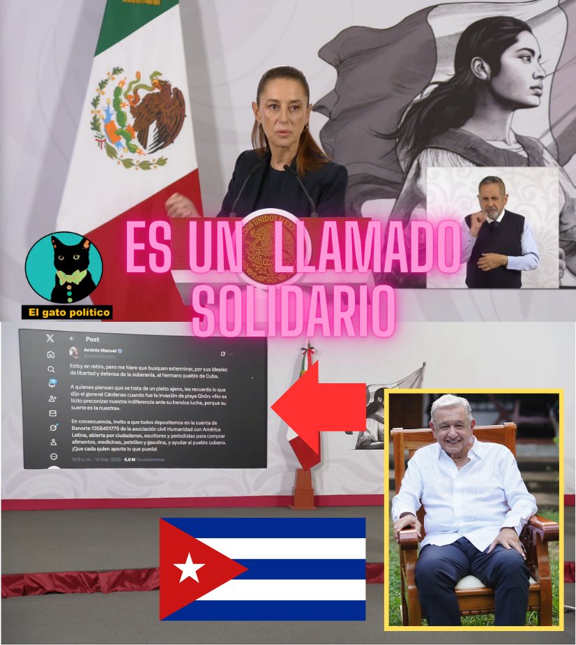 El gato político tweet media