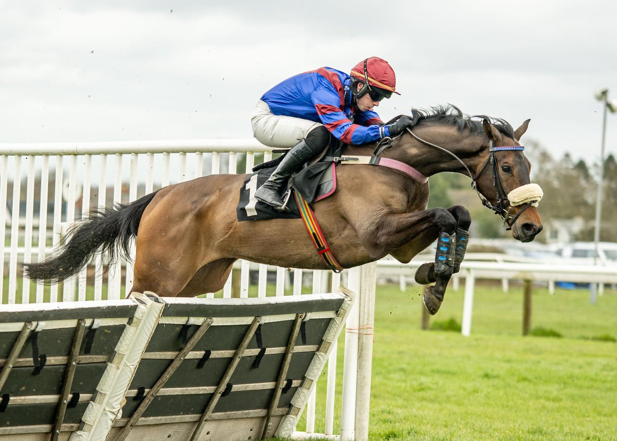 Plumpton Racecourse tweet media