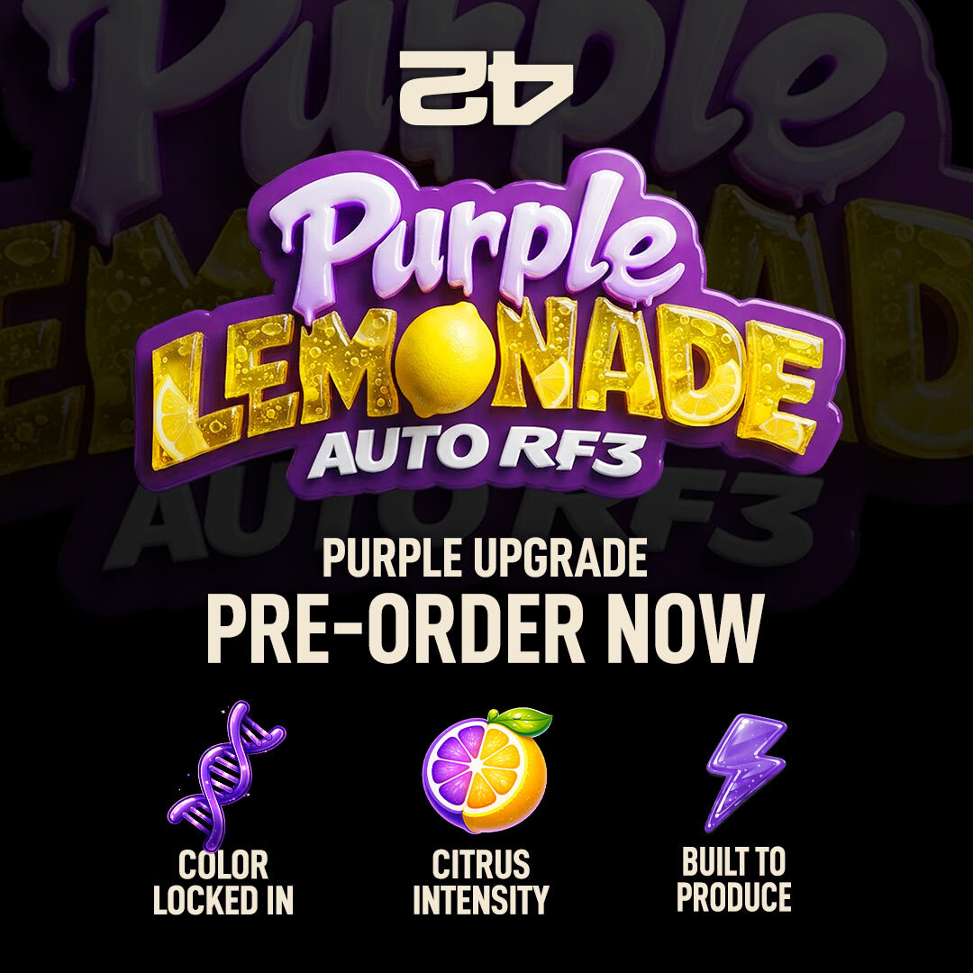 Fast Buds tweet media