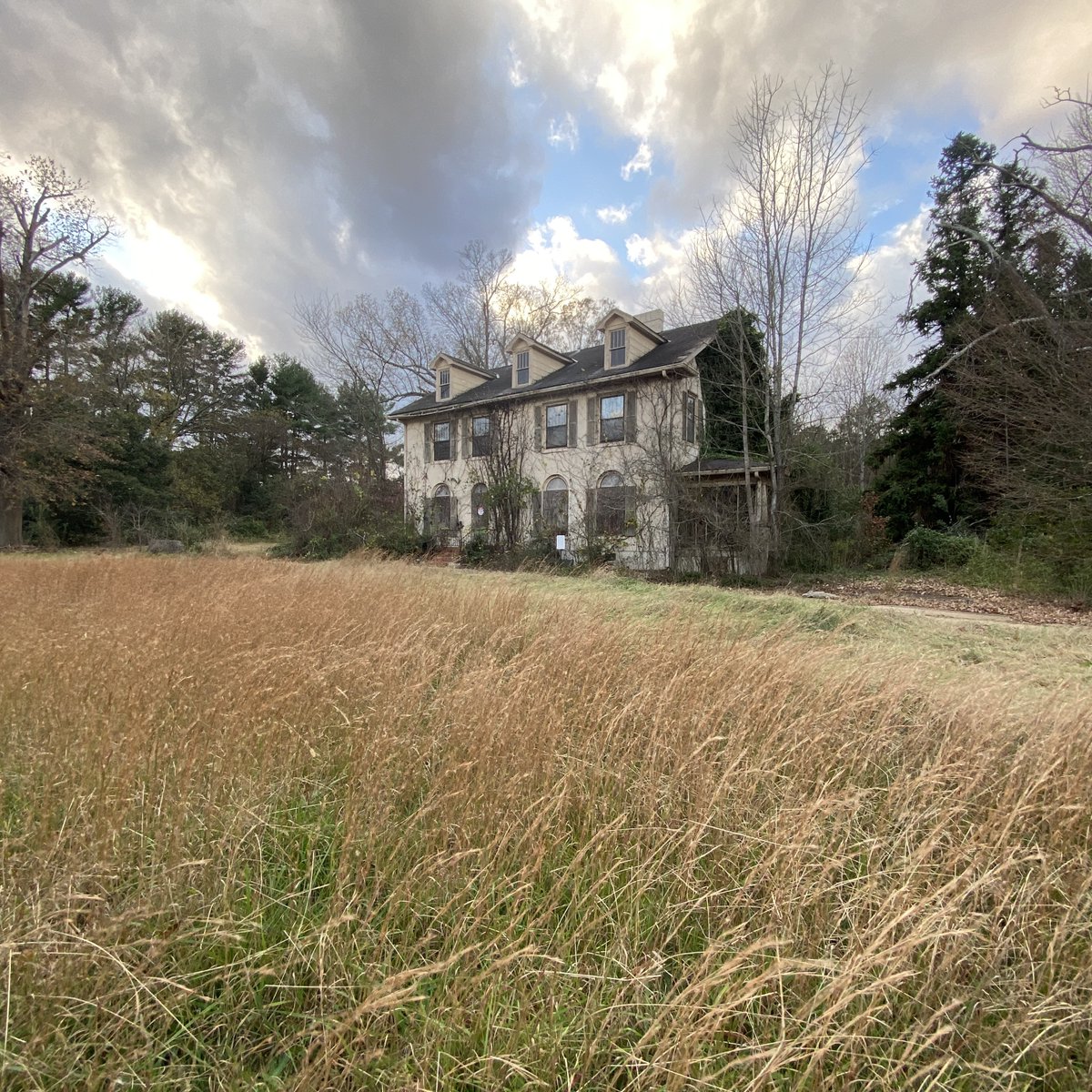 Diary of Abandonment tweet media