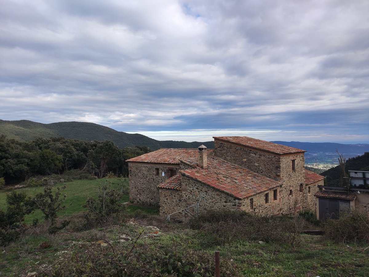 alfOnS Olmo 💚 tweet media