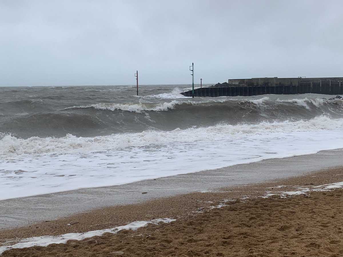 InsertNameHere tweet media