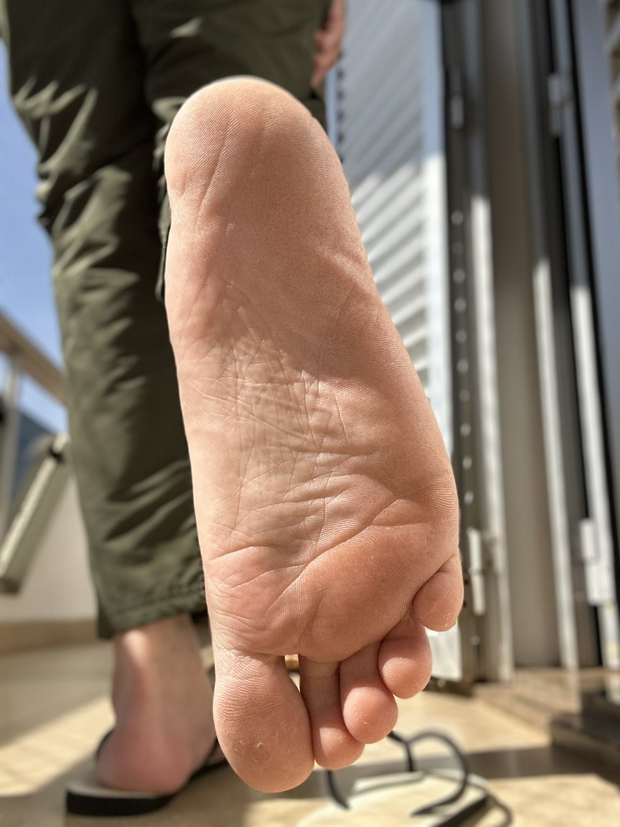 Master Vit tweet media