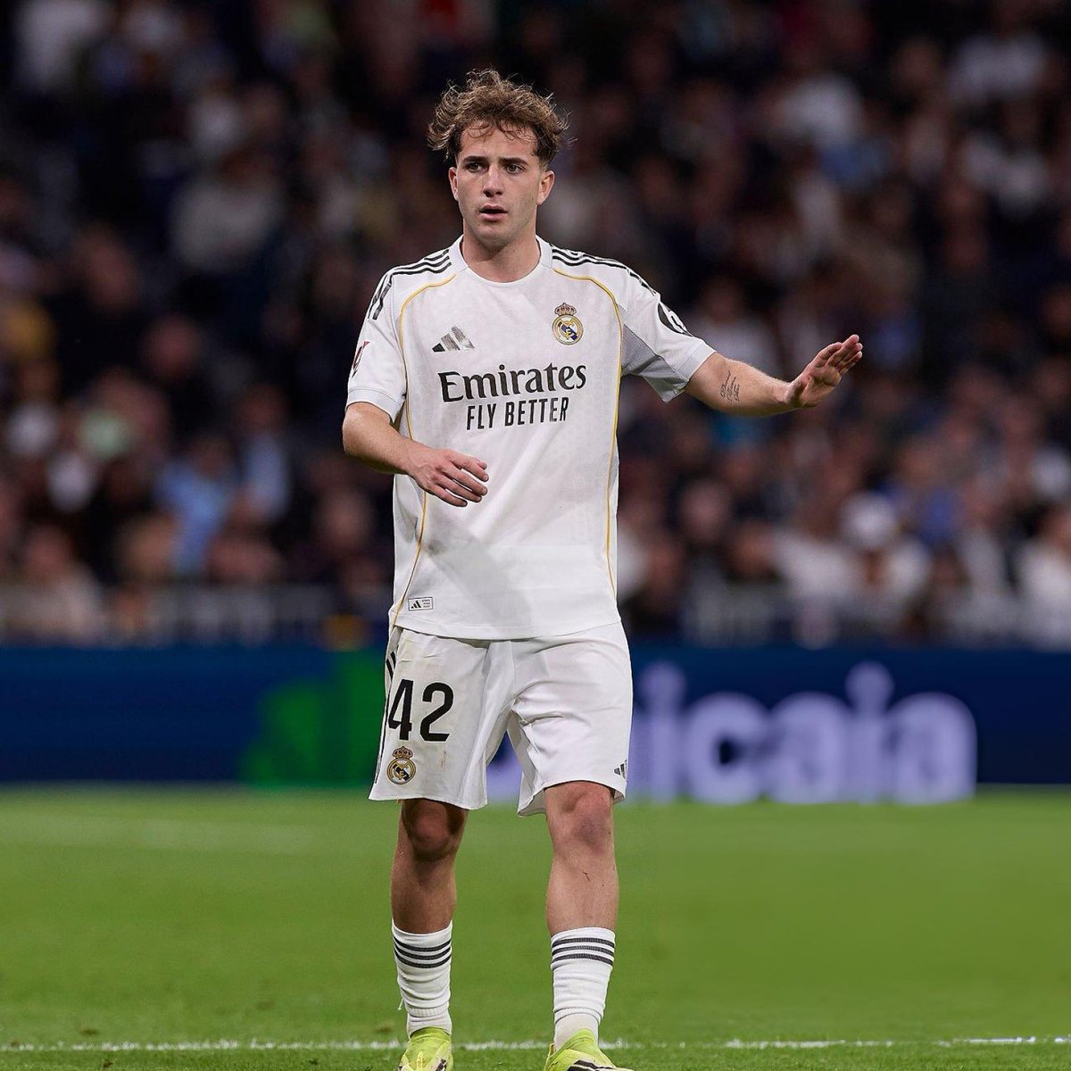 Madrid Zone tweet media