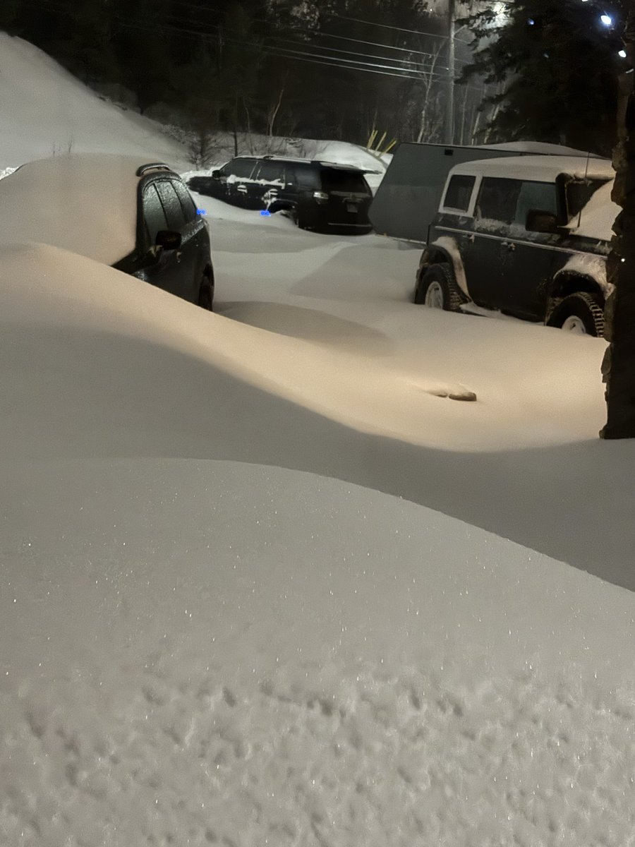 Todd Herold tweet media