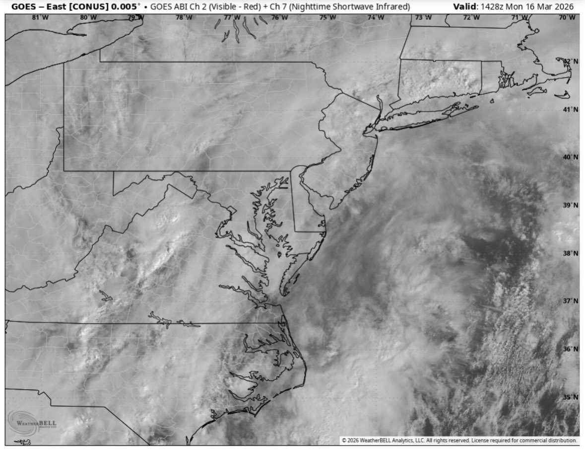 Amy Aaronson tweet media