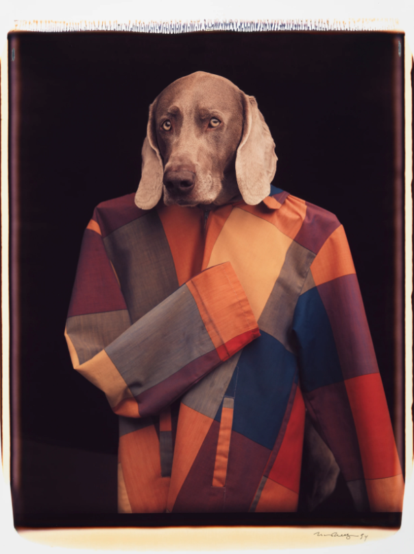 MIA Photo Fair BNP Paribas tweet media