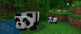 MAJ_Madden's tweet photo. Today is National Panda Day! 
#NationalPandaDay #PandaDay #GiantPandaDay https://t.co/cgI0NlDM7T
