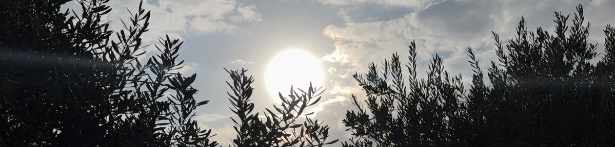 سويّر tweet media