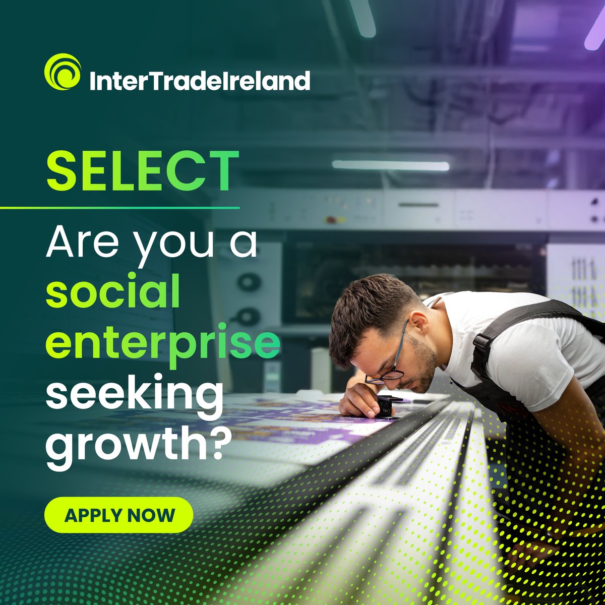 InterTradeIreland tweet media