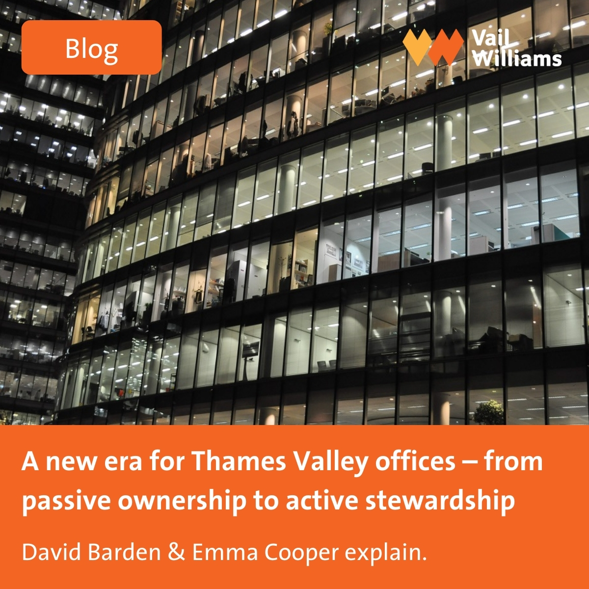 Vail Williams tweet media