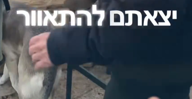 TR▲N§HUᙢȂ̶́̾̂͂̓̓̓̔͊̄̏͂̚͝N💀 ̖́ tweet media