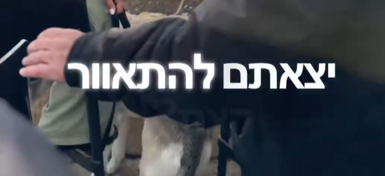 TR▲N§HUᙢȂ̶́̾̂͂̓̓̓̔͊̄̏͂̚͝N💀 ̖́ tweet media