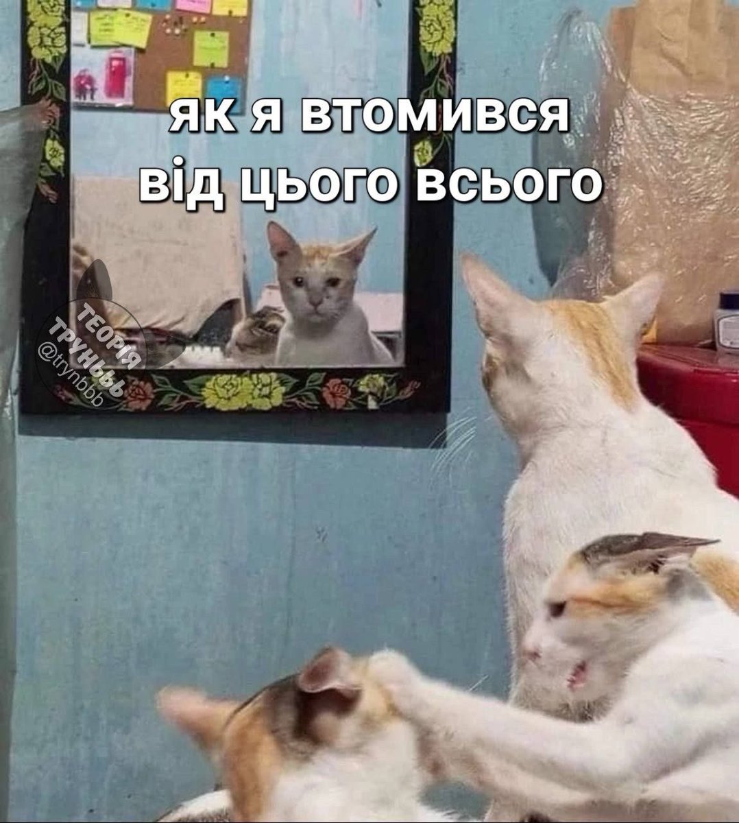 Хочеться індійській підтримці відповідати «are you fucking shitting me» бо це вже не помилки, а шкідництво
І при цьому вони так себе ведуть наче дуже дуже хочуть допомогти, от прям день і ніч тільки і думають як же це зробити 
Таке враження що туди акторів набрали, а не айті