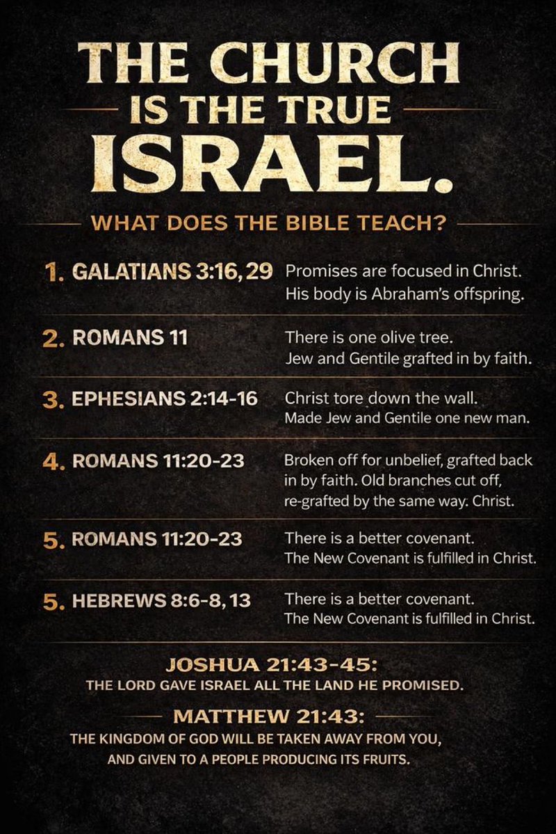 Chelsy Freedom tweet media