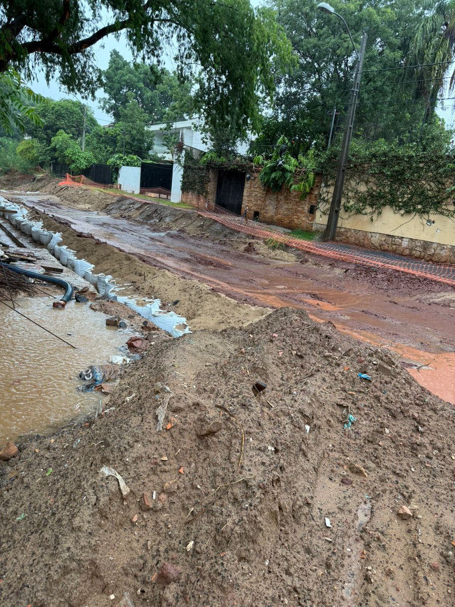 Diego Lansac tweet media