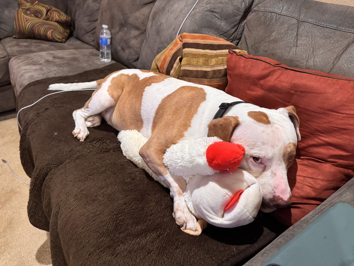 Guidry's Guardian Foundation tweet media