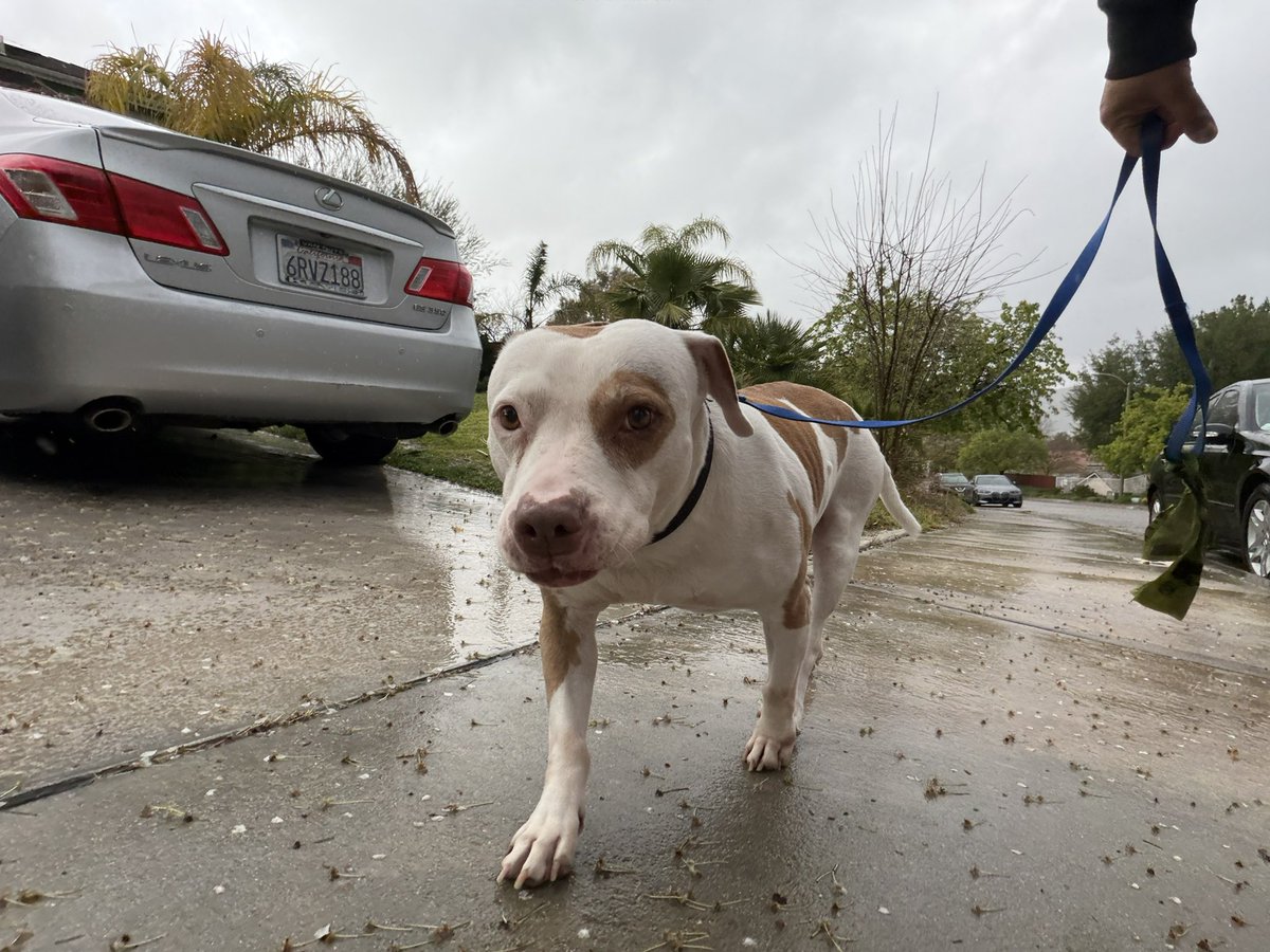 Guidry's Guardian Foundation tweet media