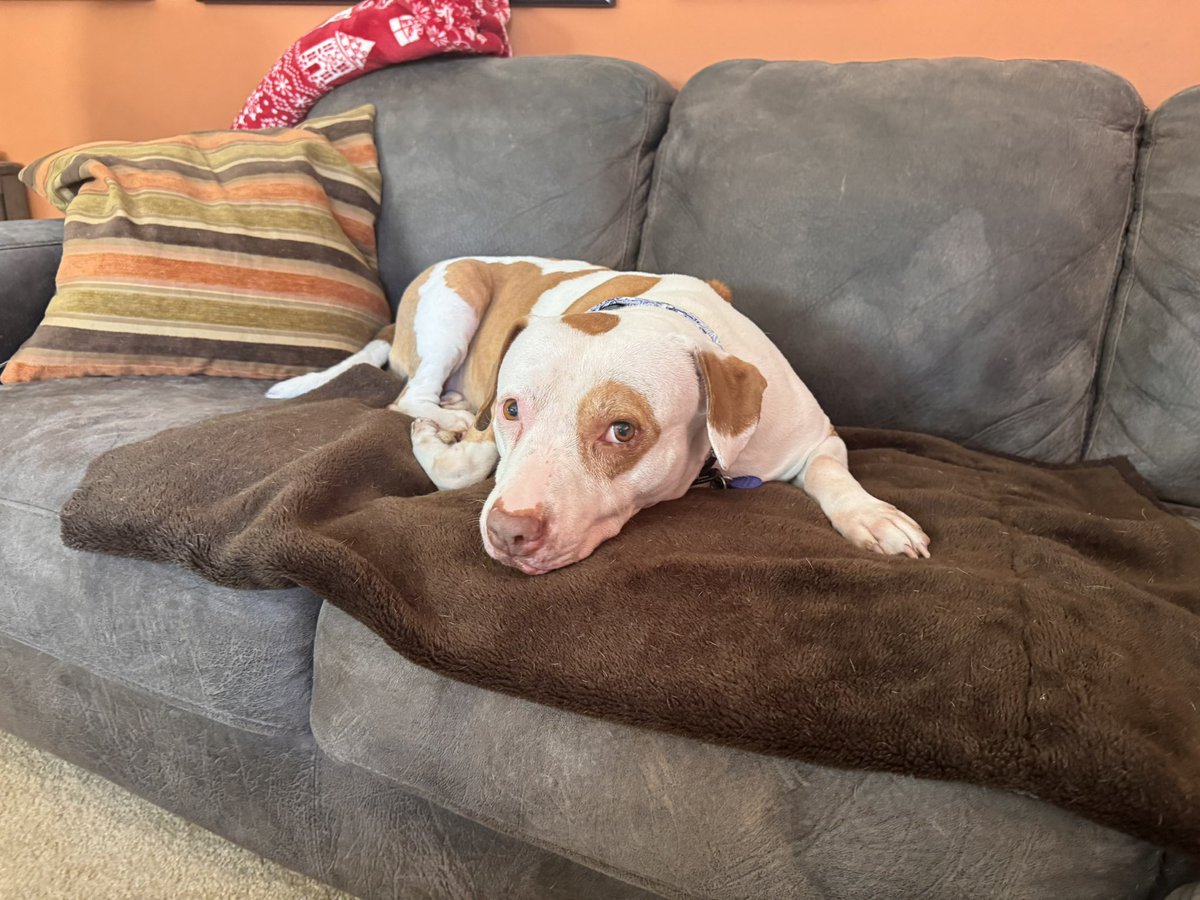 Guidry's Guardian Foundation tweet media