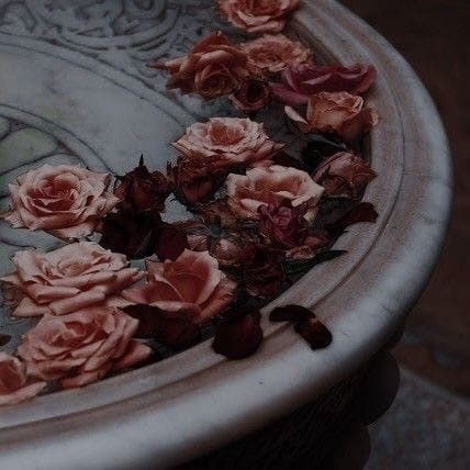 Simon Dubois. +5AU! tweet media