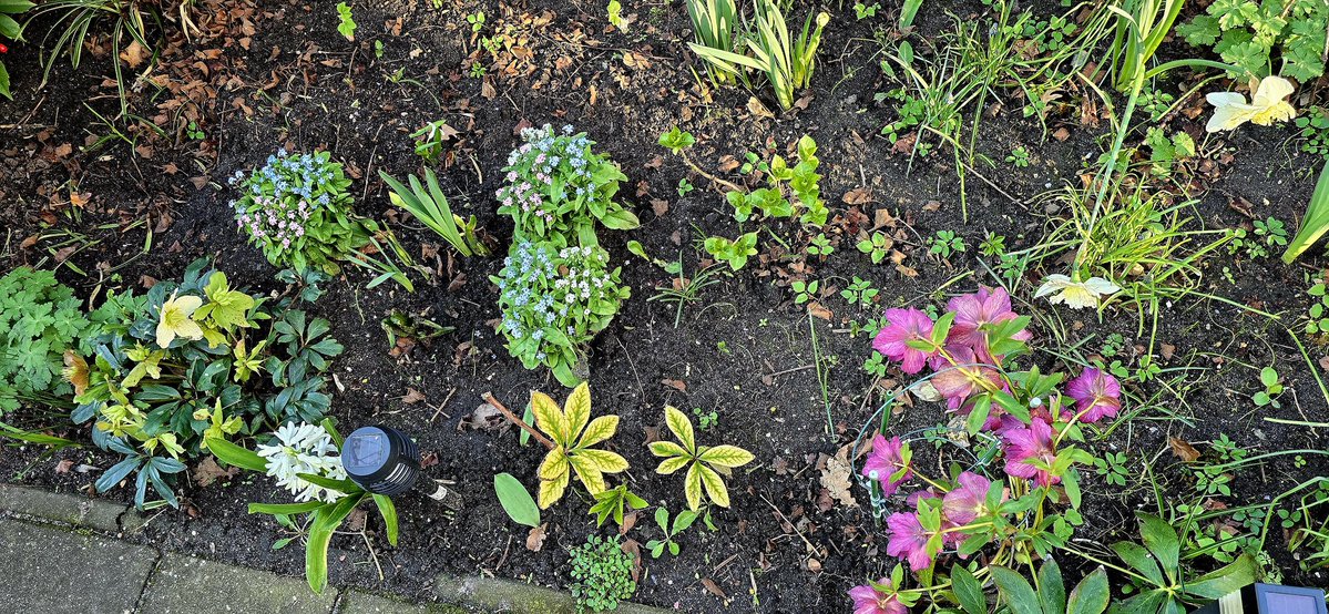 Martin Lamboo tweet media