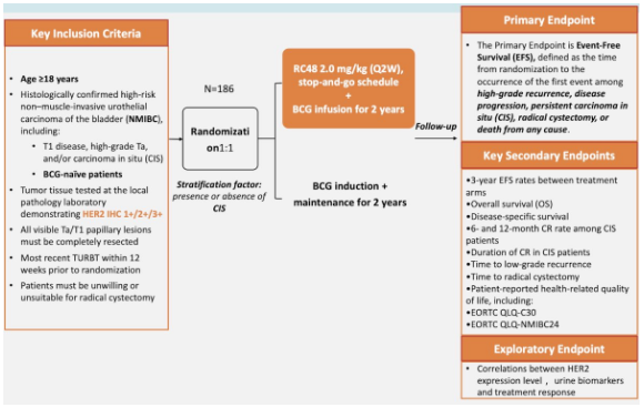 urotoday's tweet image. #HERO: A phase III, randomized, open-label trial of disitamab vedotin + BCG in BCG-naïve patients with HER2-expressing high-risk #NMIBC. Presentation by Yi-Jun Shen, MD. #EAU26 written coverage by @zklaassen_md &amp;gt; bit.ly/4rBJNkt @Uroweb