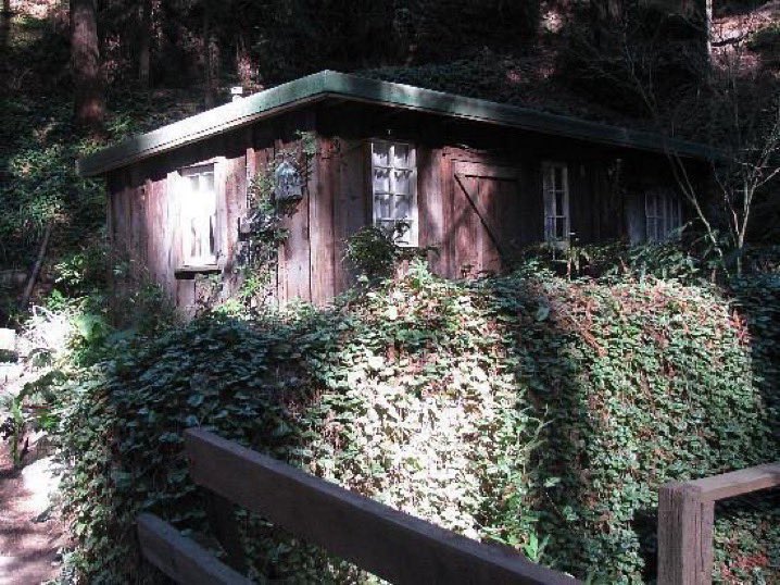 five years ago, taylor performed with the folklore cabin for the first time wearing a daisy guitar strap and singing a ‘cardigan/august/willow’ mashup

the folklore cabin was inspired by the big sur cabin that she stayed in with karlie during their 2014 trip

march 14, 2021