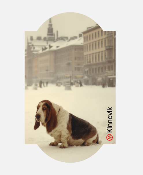 Per Ekstr🦆 tweet media