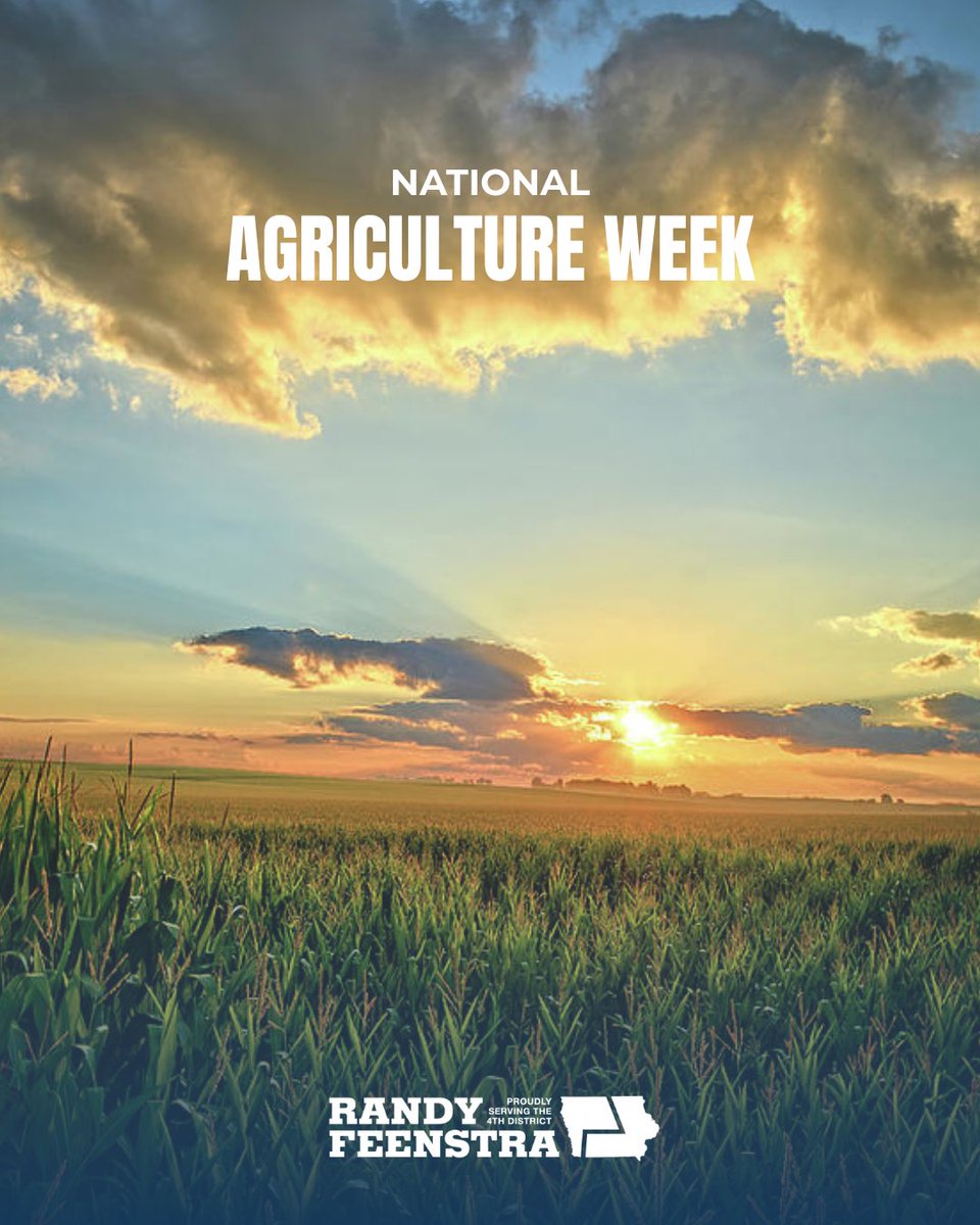 Rep. Randy Feenstra tweet media