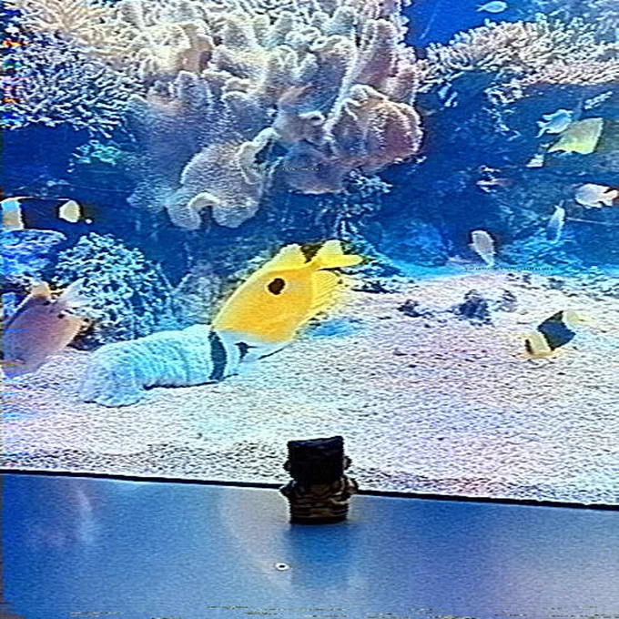 アナログテレビのエフェクトええな