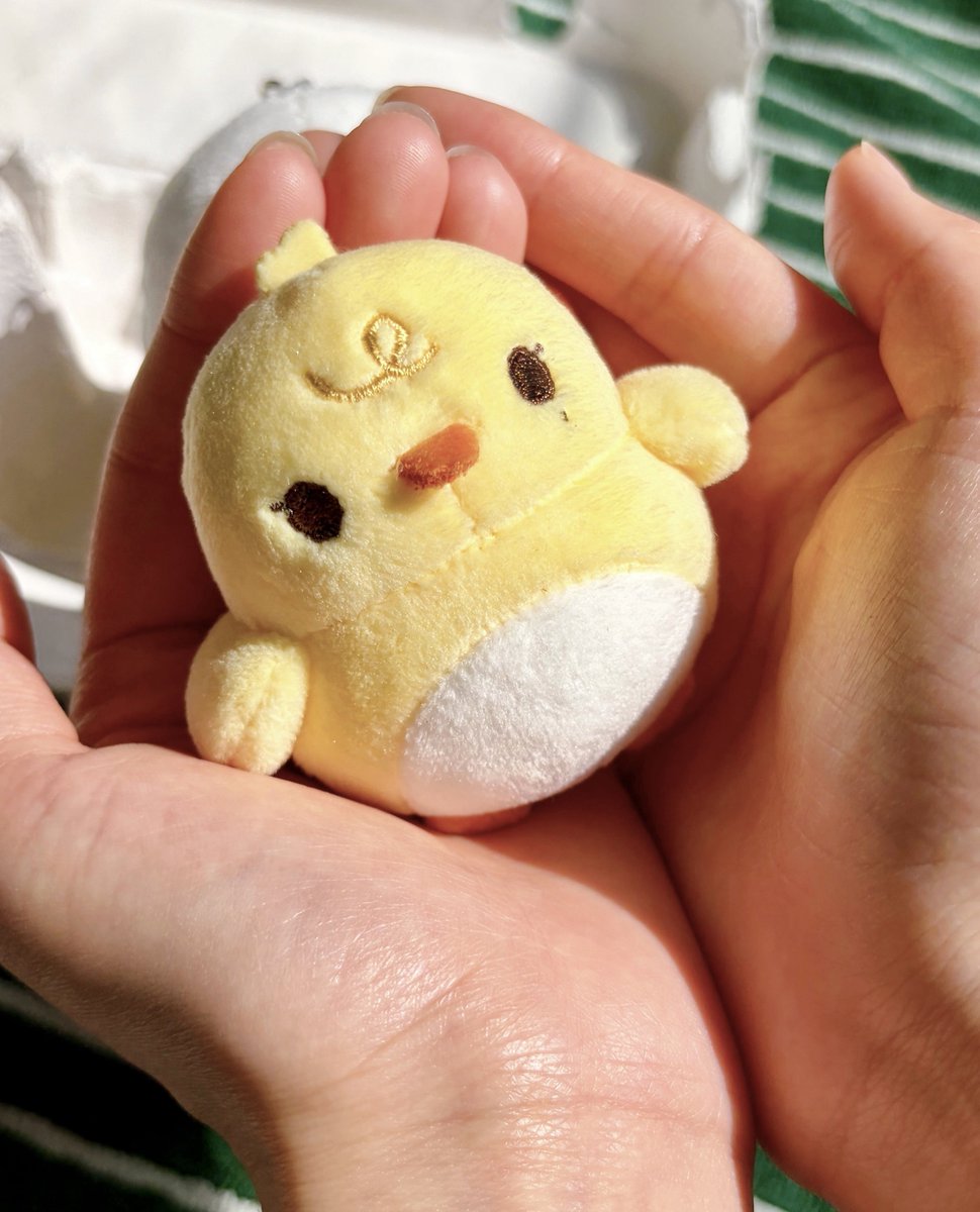 flying petals tweet media