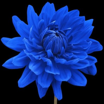 DeeDee16392's tweet photo. #NewProfilePic https://t.co/8JnQ2gUm83