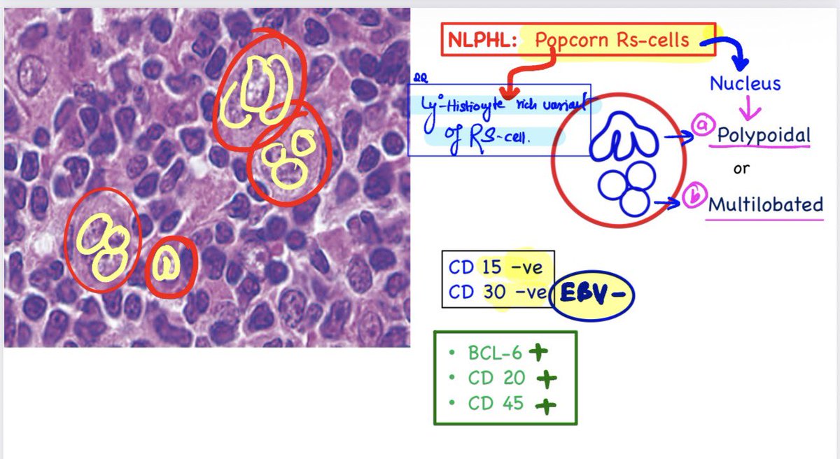 Dr Devesh Mishra tweet media