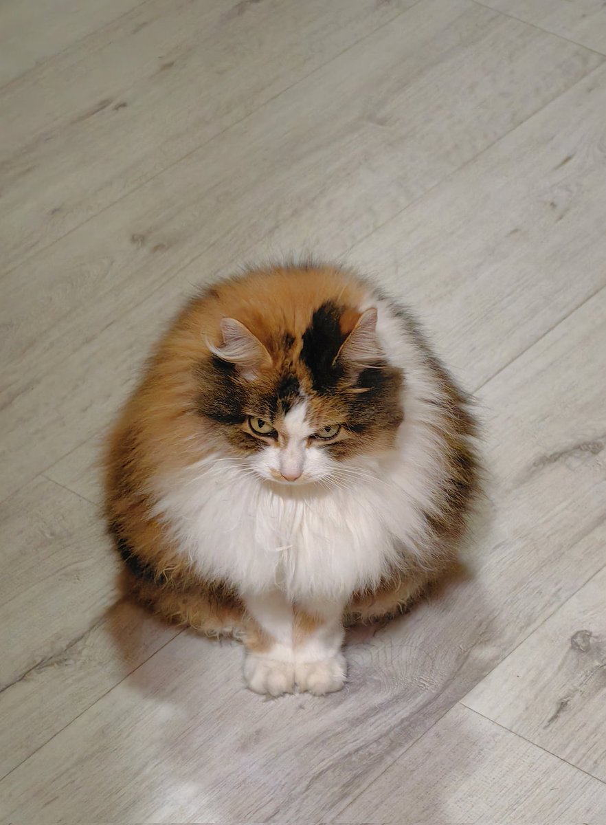 Искусство Быть Посторонним🇩🇪 tweet media