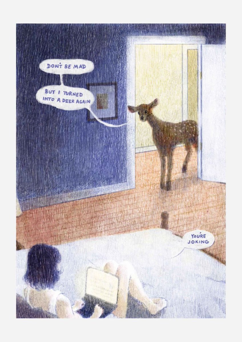 joseph 🐯 tweet media